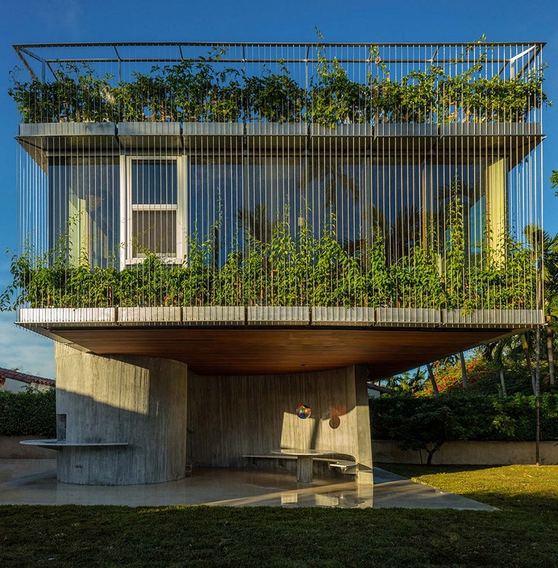 Sun Path House - Studio Christian Wassmann - exterior plant screen