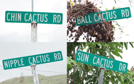 Similar Street Names
