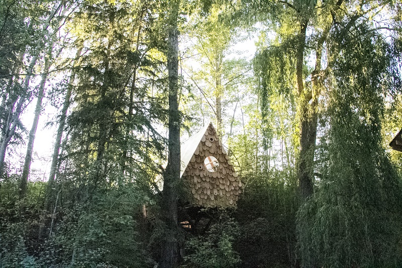 Bird Hut - Studio North fairytale treehouse