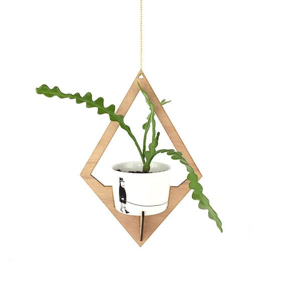 Wooden Eco-Airplanter - All Things We Like