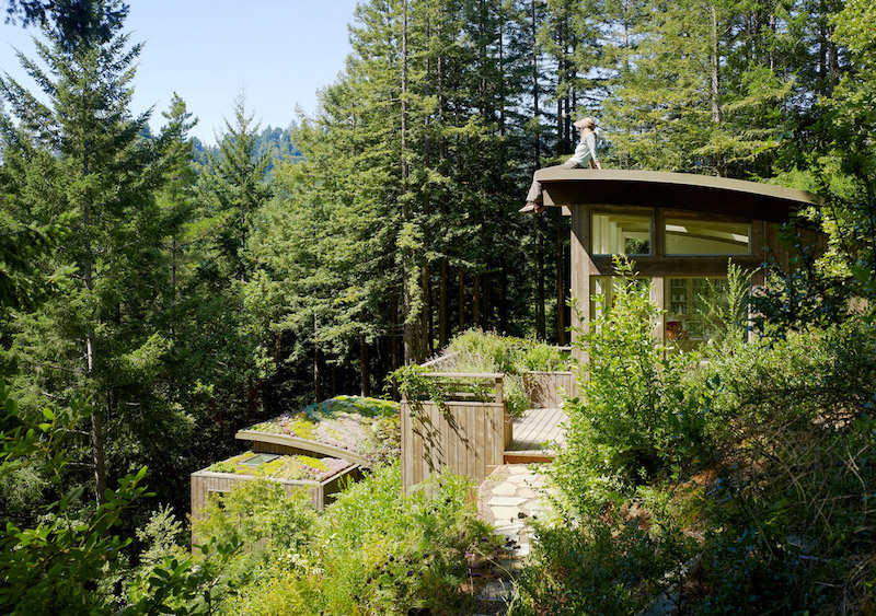 Mill Valley Cabins