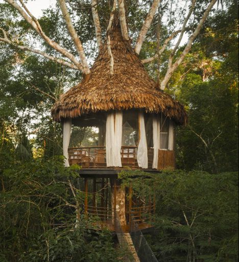 The Treehouse Lodge Resort outside Iquitos, Peru.