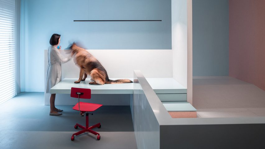 The inside of the "Dog House," designed by Atelier About Architecture for a dog with congenital joint disease