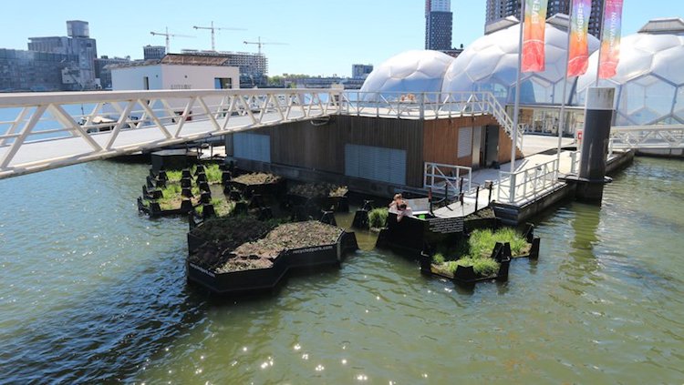 The Recycled Island Foundation's new "Floating Park" in Rotterdam. Made entirely from recycled plastic waste