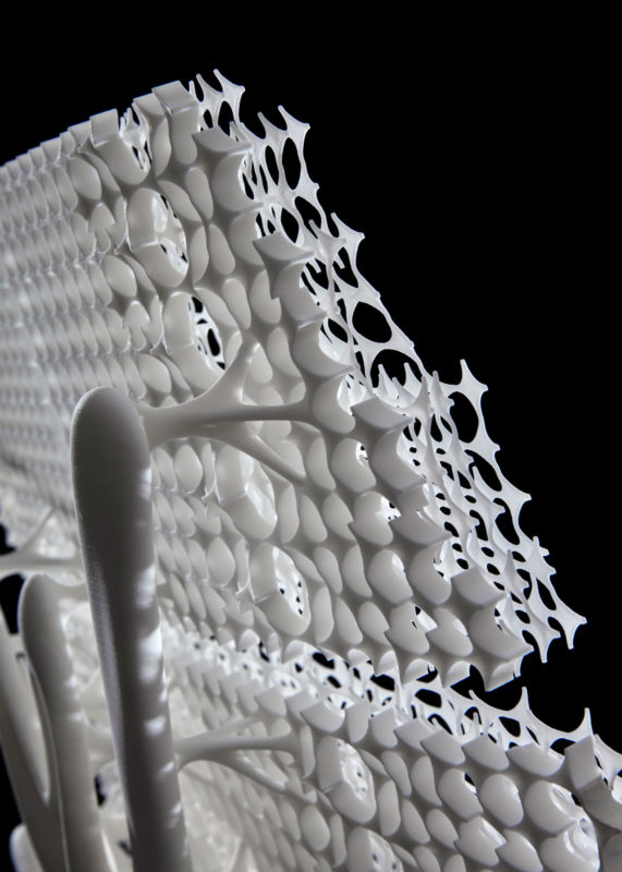 Close-up of the latticework on the Radiolara #1's back.