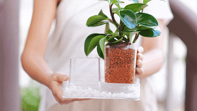 Person holding a Plant Hero self-watering planter.