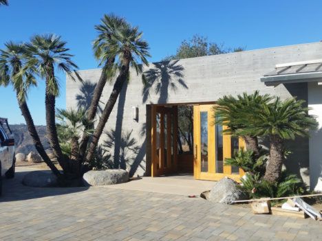 The front exterior of Casa Aguila, complete with palm trees and a stone courtyard.
