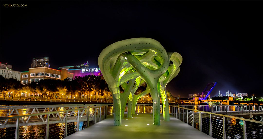 The Form of Wander art installation in Tampa, Florida. 