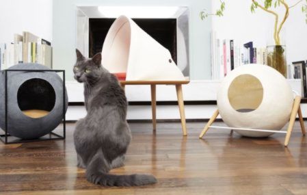 A gray cat sitting in front of two pieces of Tuft + Paw modern cat furniture.