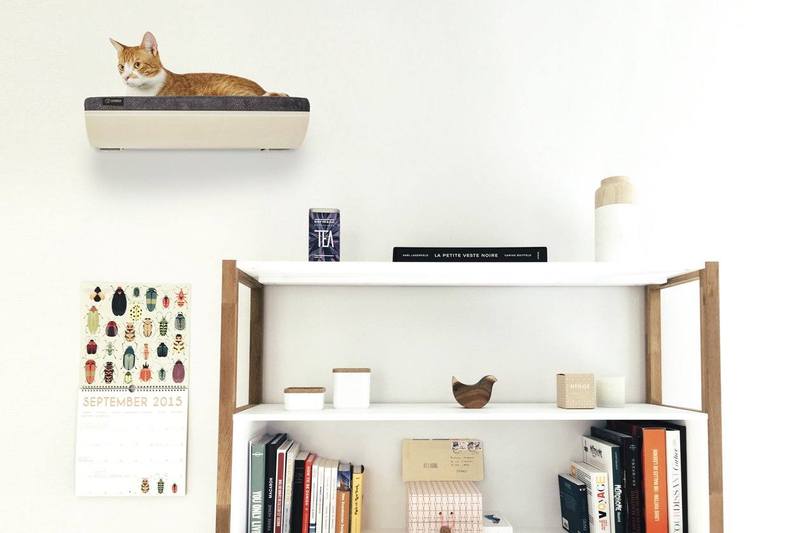 A cat sits on the new Tuft + Paw Gatto Pertica Cat Shelf, which itself has been mounted to the wall above a bookshelf in someone's home.
