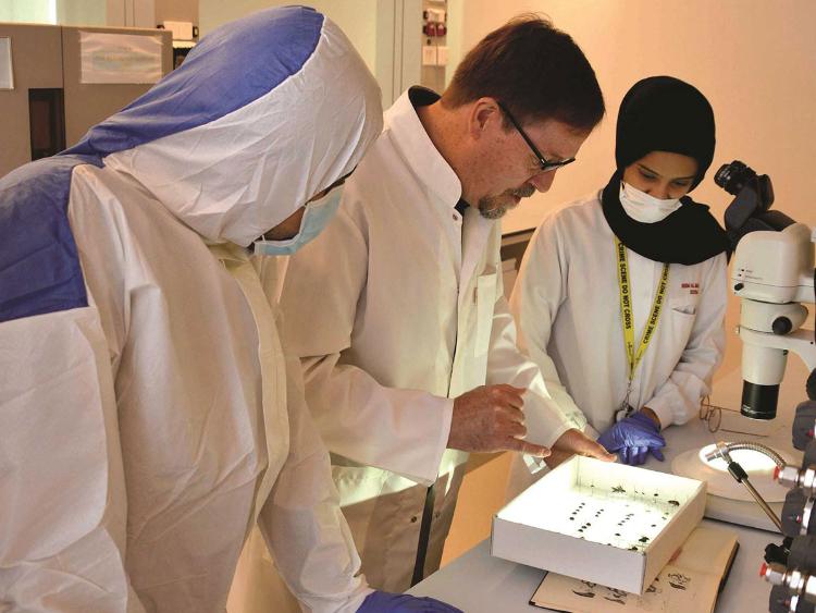 Dubai police officers examining several different bugs alongside Dr. Jeffrey D. Wells. 