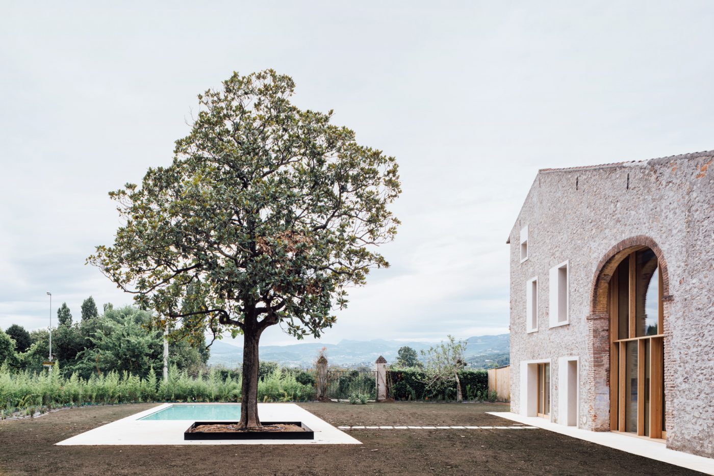 The large magnolia tree and swimming pool located outside "A Country Home in Chievo."
