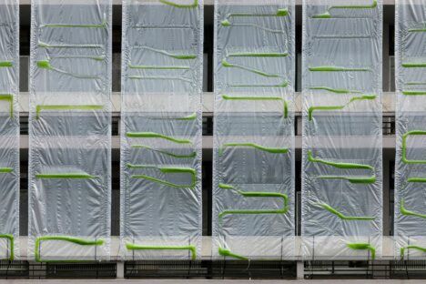 "Photo.Synth.Etica," a living wall (biological intelligence) that traps CO2 and cleans the air.