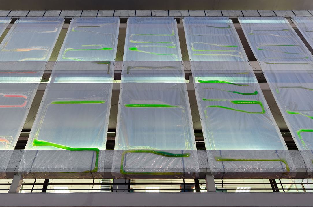 "Photo.Synth.Etica," a living wall (biological intelligence) that traps CO2 and cleans the air. 