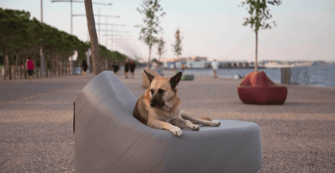 Dog sitting on a bench created from recycled plastic waste as part of The New Raw's "Print Your City!" initiative. Located in Thessaloniki, Greece.