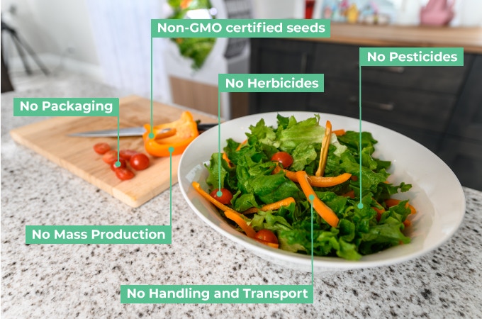 Example of the fresh fruits and veggies that can be grown using the OGarden Smart.