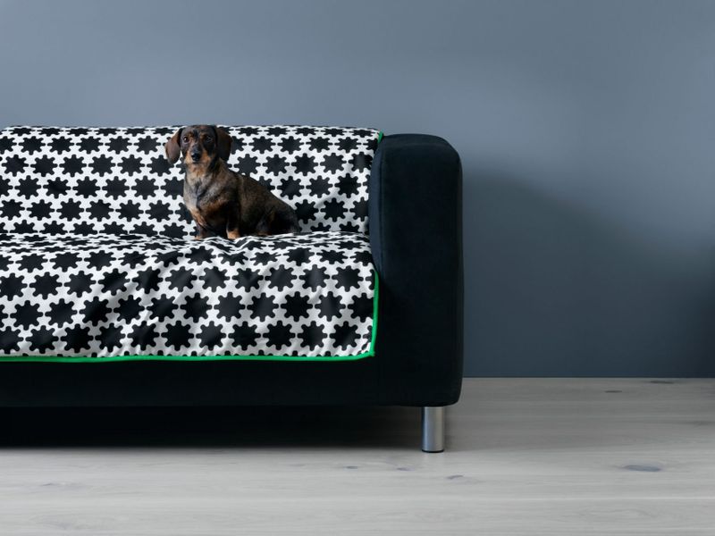 Dogs and cats making the most of IKEA's new LURVIG furniture collection.