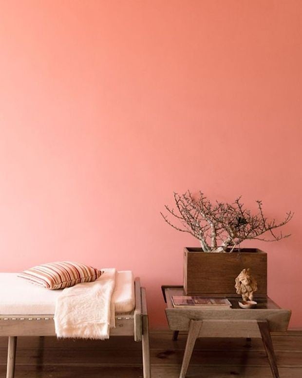 A Living Coral accent wall inside a small apartment. 