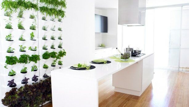 minigarden in the kitchen