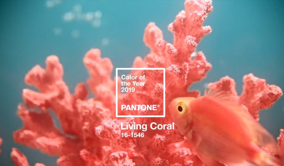 "Living Coral," Pantone's Official Color of the Year for 2019. 