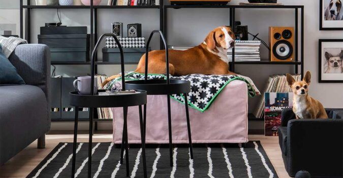 Dogs and cats making the most of IKEA's new LURVIG furniture collection.
