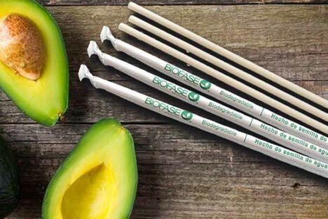 Biofase's biodegradable straws, which are made from discarded avocado pits.