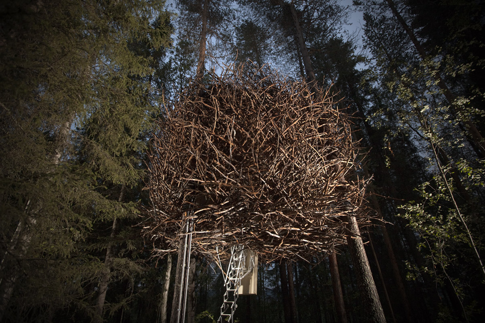 "The Bird’s Nest," one of several unique treehouse lodgings available at Sweden's Treehotel. 