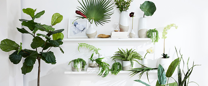 A series of sleek house plant containers from West Elm.