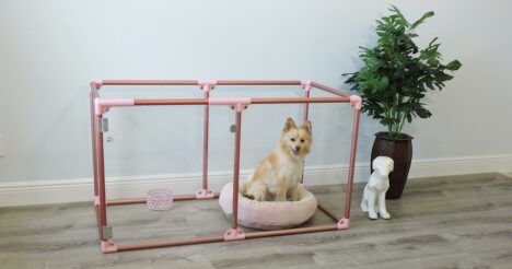 "Lucidium," the new transparent pet enclosure from Clearly Loved Pets.