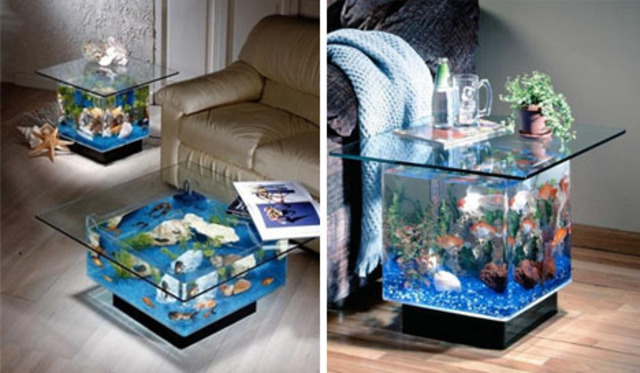 coffee table fish tanks