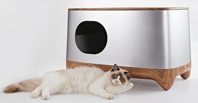 Cat lounges outside their new iKuddle self-cleaning litter box.