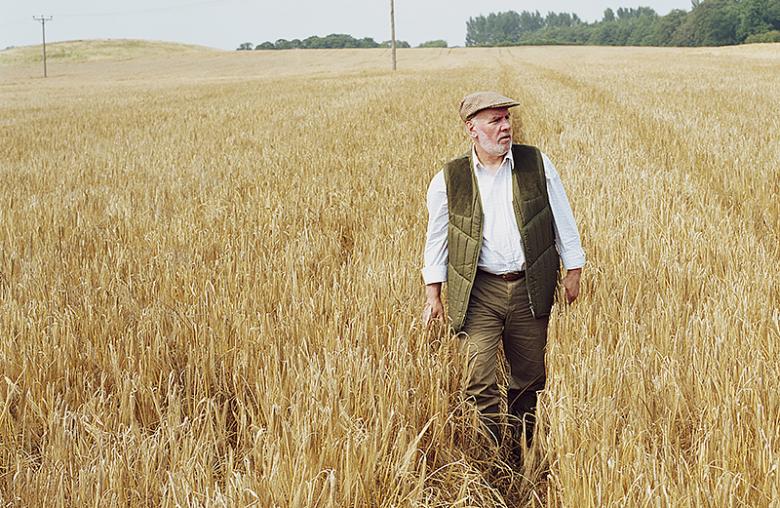 An elderly man takes a peaceful stroll through a field. 