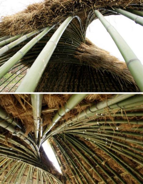 bamboo structure covered with plants