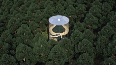 Glass spiral house over treetops