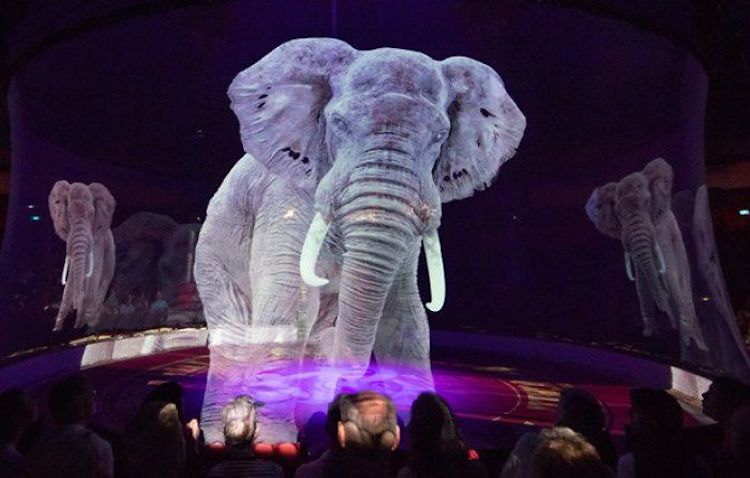 Shots of the holographic circus animals being employed by the German Circus Roncalli. 