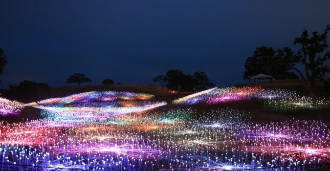 Stills from artist Bruce Munro's new "Field of Light" installation in Paso Robles, California.