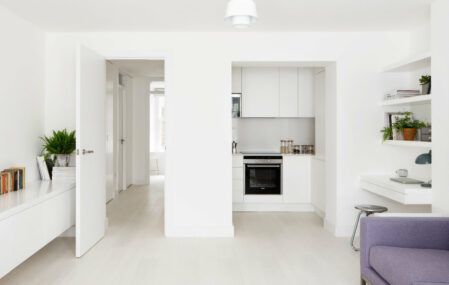 Pictures of a tiny Primose Hill apartment, with renovated interiors by Amos Goldreich Architecture.