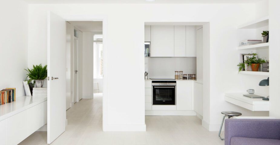 Pictures of a tiny Primose Hill apartment, with renovated interiors by Amos Goldreich Architecture.