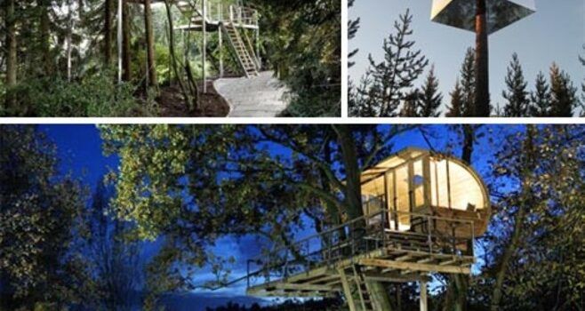 tree house modern homes