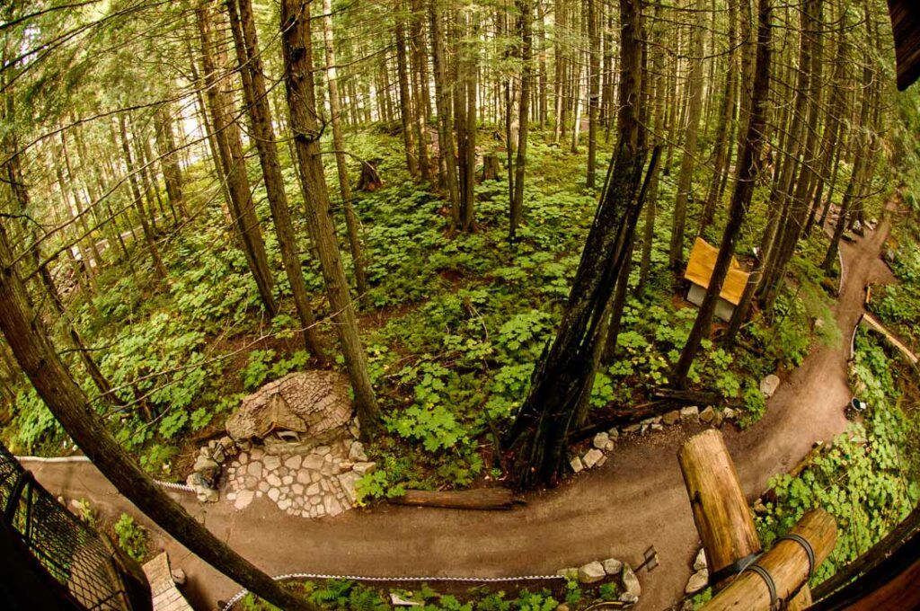 The Enchanted Forest: British Columbia's Magical Woods - Unusual
