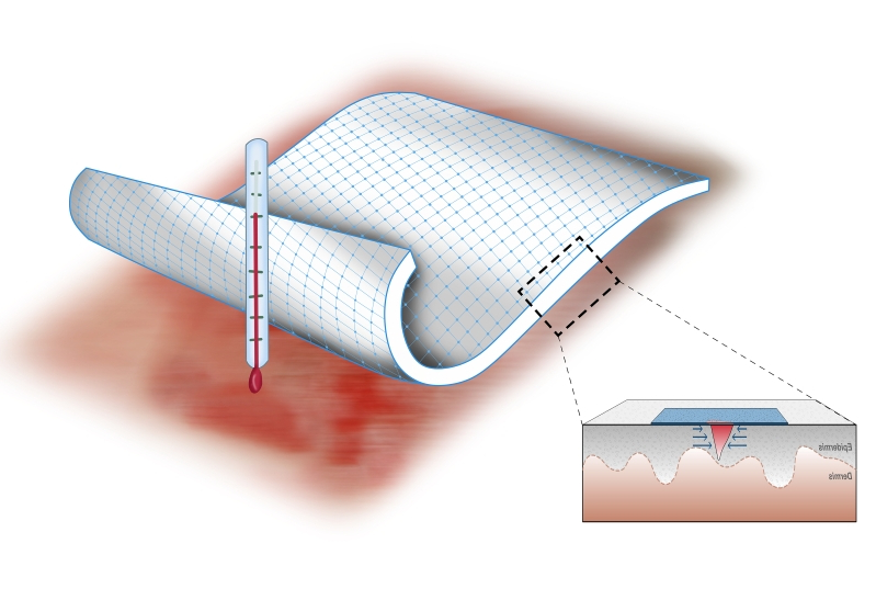 A graphic depicting the unique way the human body temperature causes the active adhesive dressing to contract. 