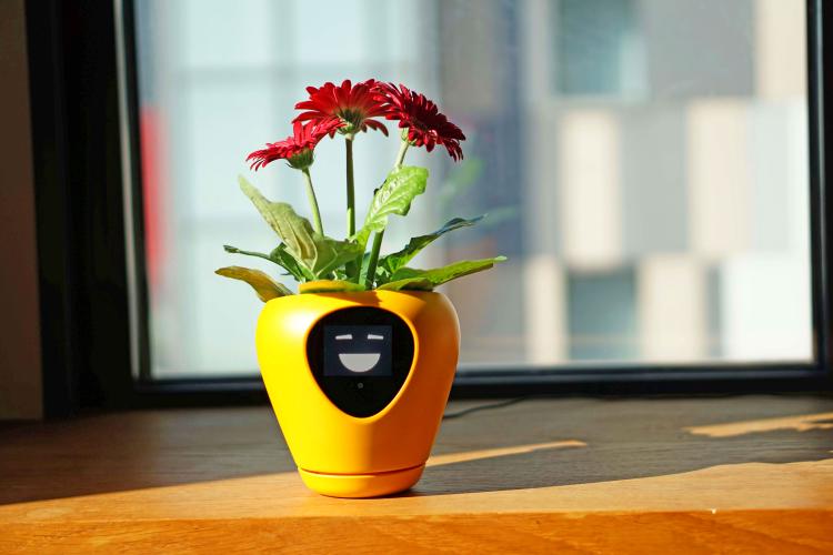 The Lua Smart Planter displays a happy expression 