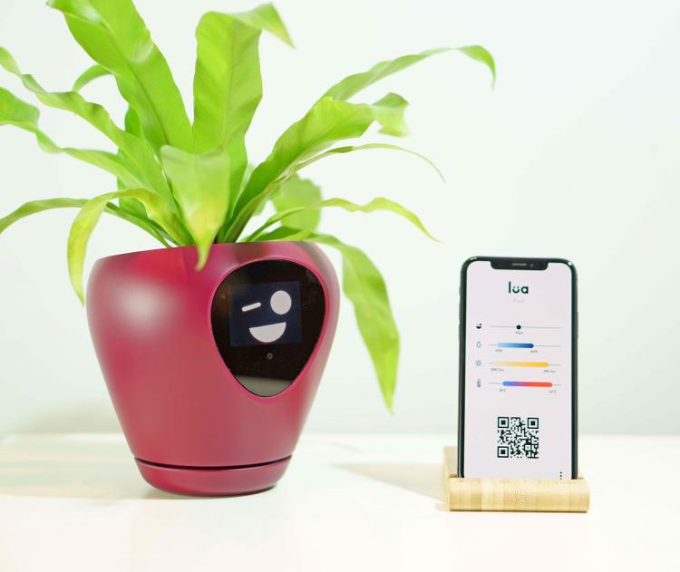 The Lua Smart Planter and accompanying mobile app.