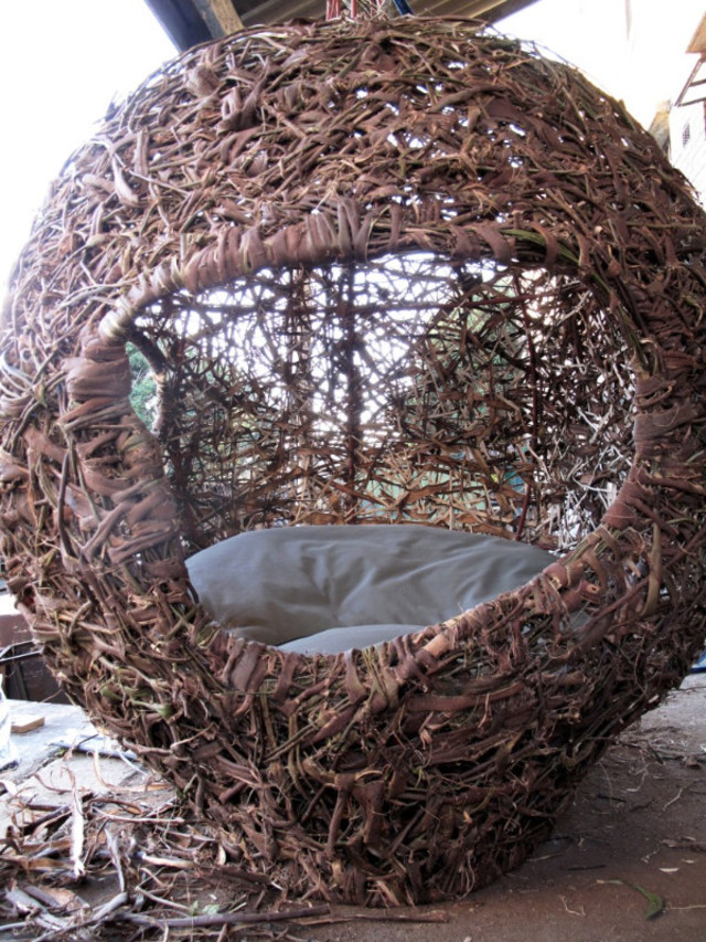 Inside the Weaver's Nest